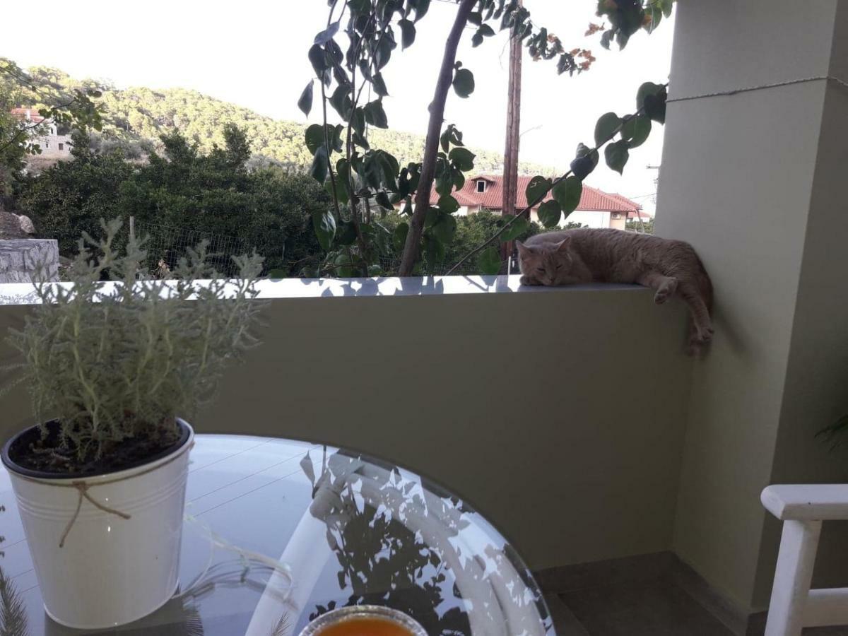 Spiti Portokali Apartman Epidaurosz Kültér fotó